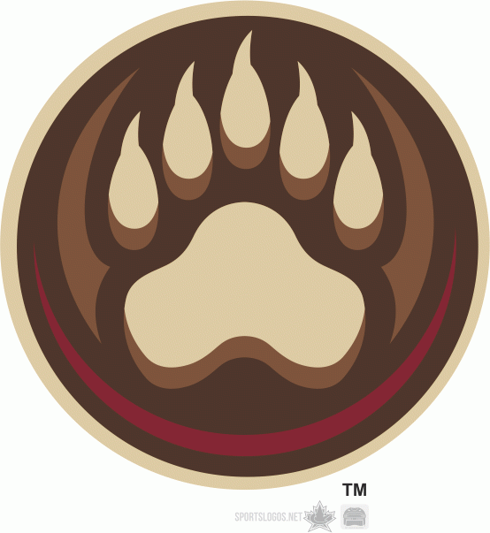 Hershey Bears 2012 13-Pres Secondary Logo v2 iron on transfers for clothing